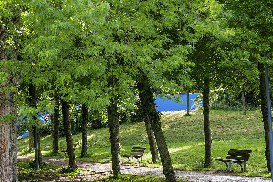 Occupation du parc des Fontanelles : point de situation