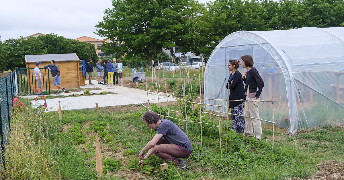 Jardin partagé Ville de